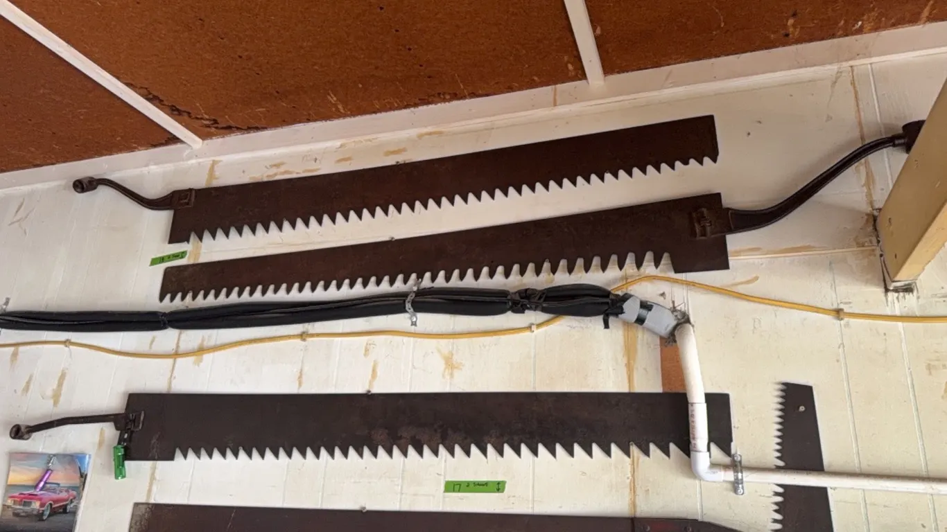 (2) very large wall hanger saws, see photos