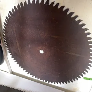 Buzz saw blade, good shape