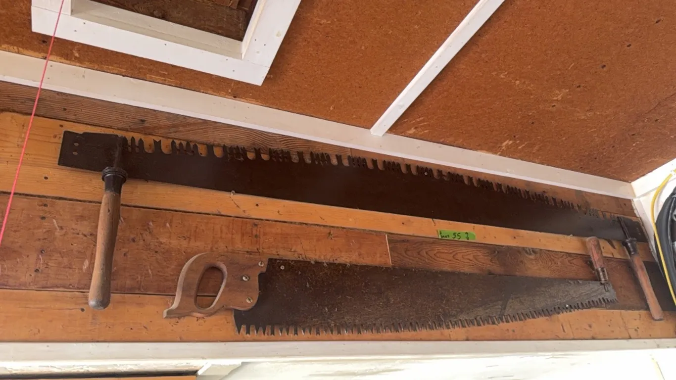 Two excellent 2 man saws, winner takes both