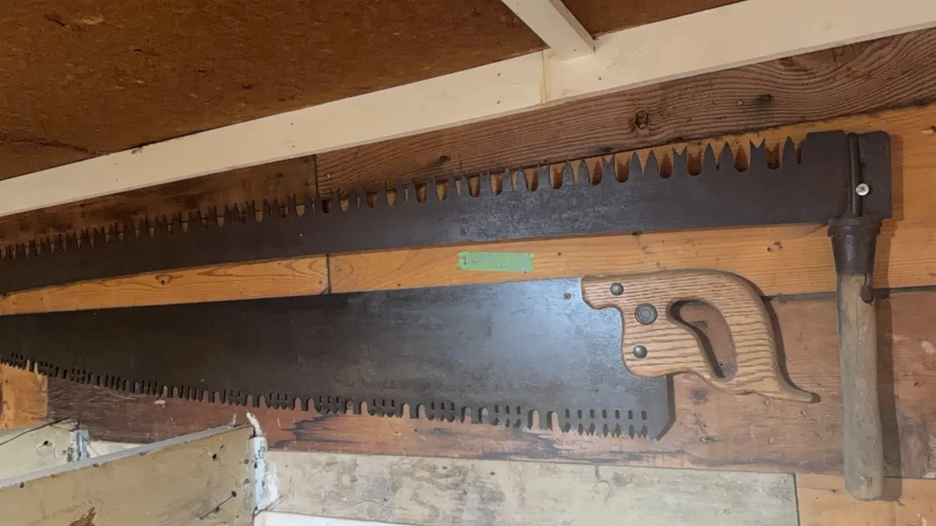 One two man antique saw, one single, selling the pair, both arenice, see photos