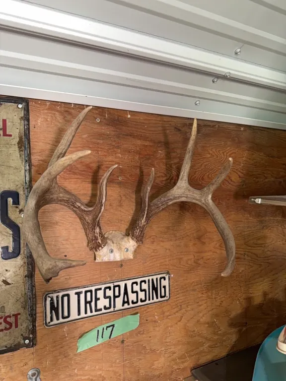 No trespassing sign (vintage) also includes deer horns