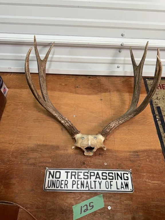 vintage no trespassing sign and deer horns