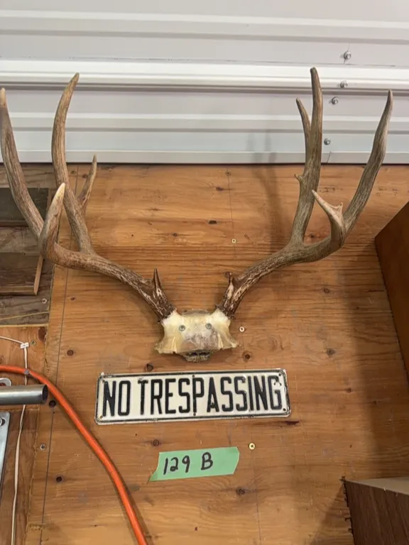 Vintage no trespassing sign and deer antlers