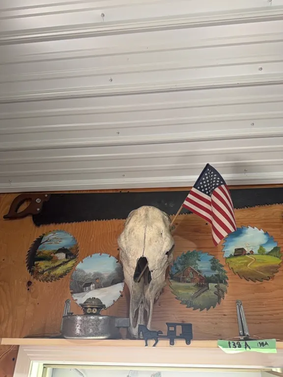 Skull, painted saw blades, vintage saw, other misc