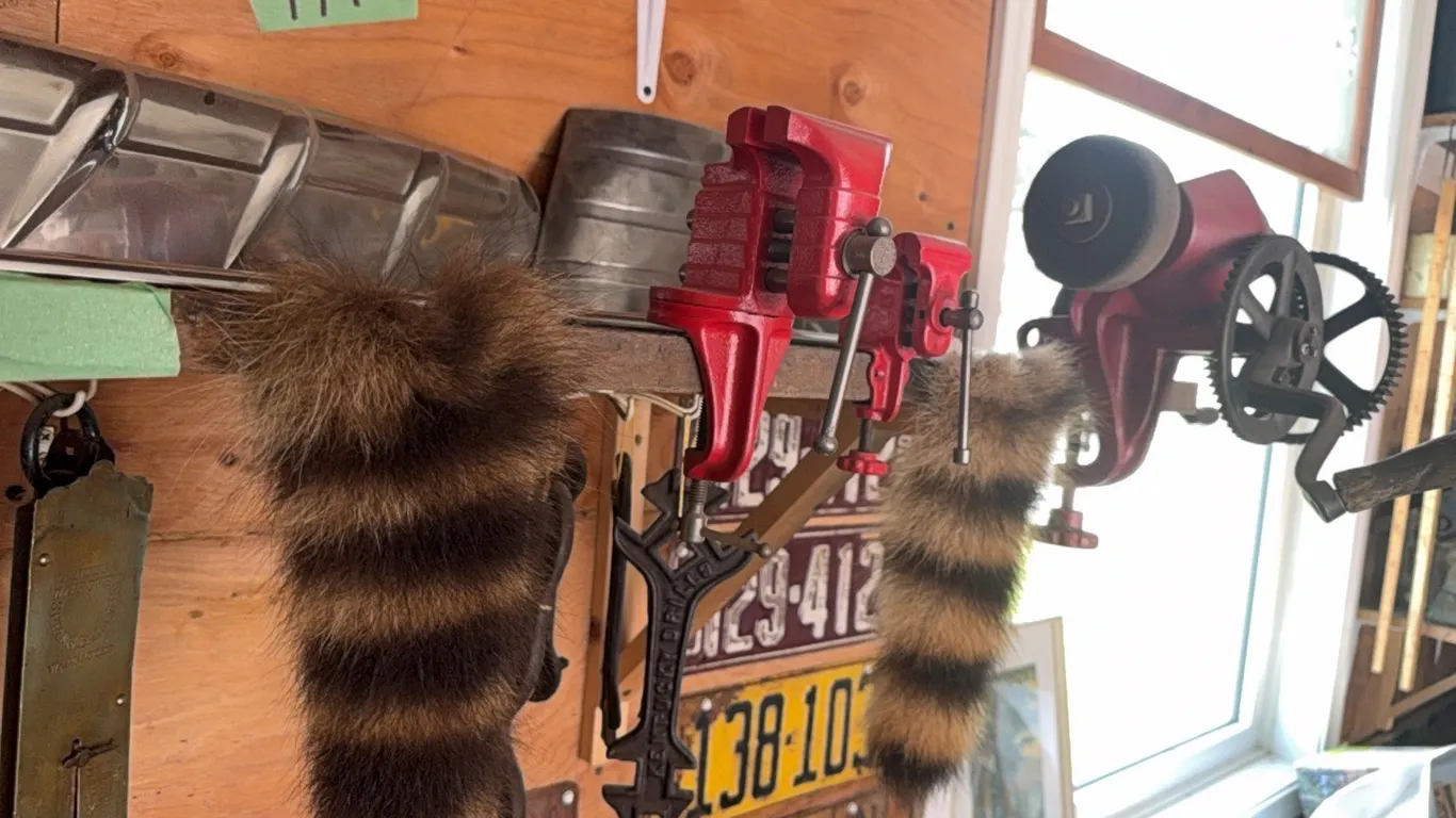 Two mounted raccoon tails, mini vices, two crank style grinders