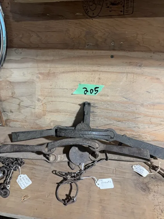 Three collector traps, one is number four very old collector sergeant trap, one is an old Victor number three, one is Victor New House #3