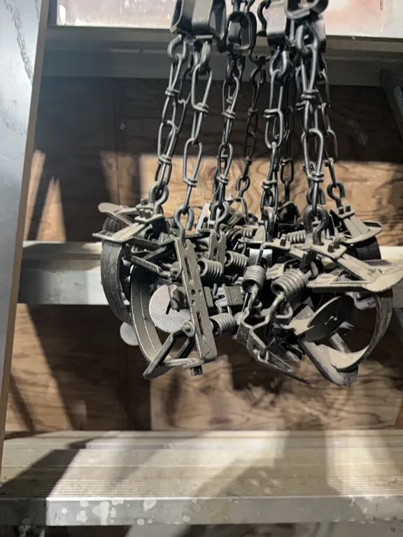 One dozen brand new Victor #1’s traps