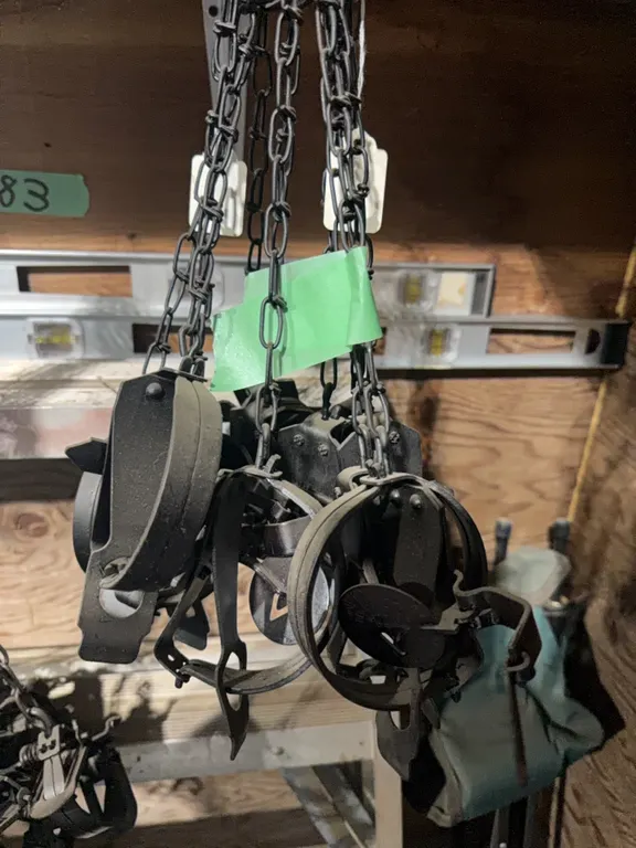 One dozen #1 victor traps, new