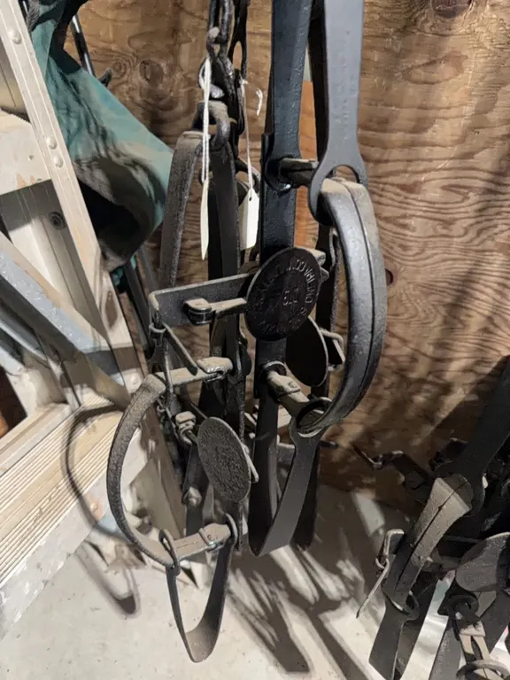 (4) #4’s D. Sp. New House Pan savers traps. Total of four traps.