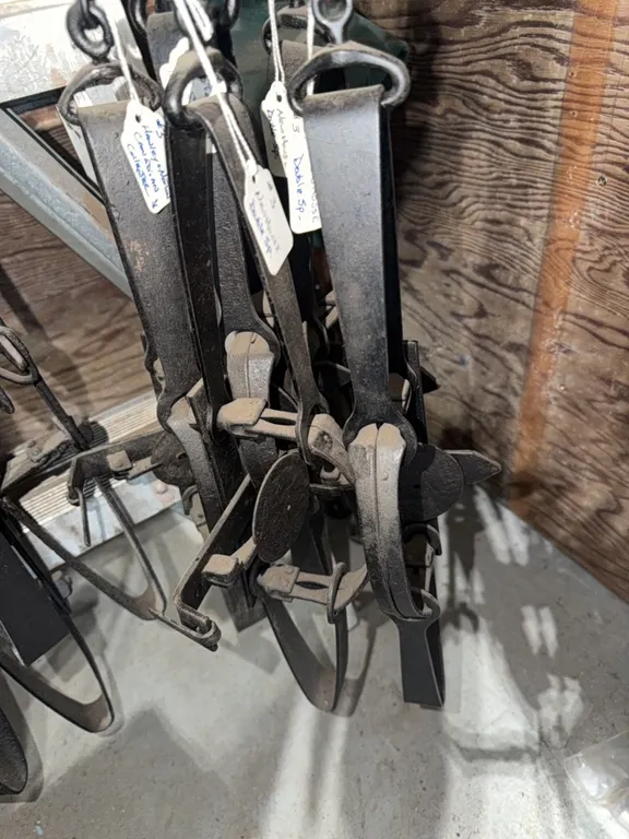 Five traps, #3 Hawley and Norton Canadian collector trap, Canadian new house, also new house double sp., others, 5 traps, all same size