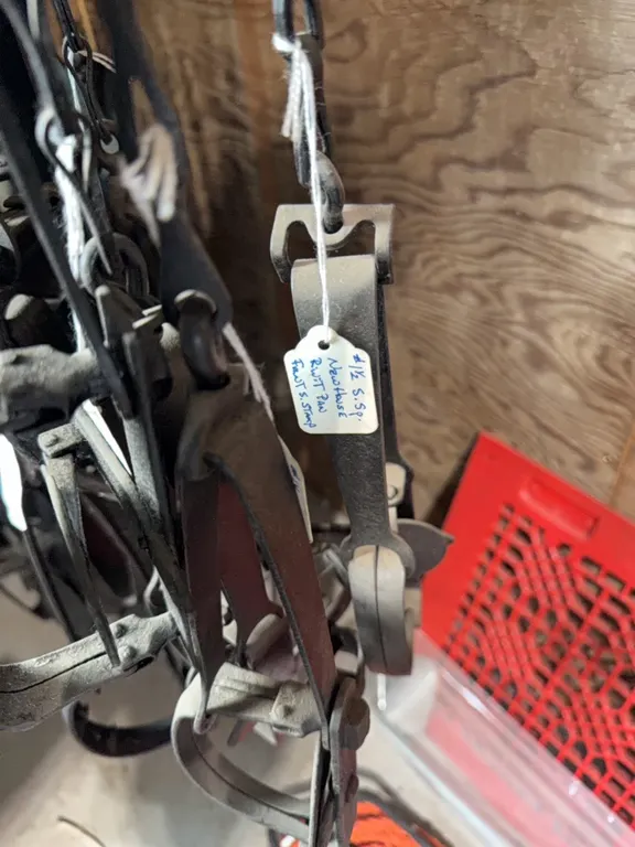 4 traps, single sp., new house, rivet pan, old stamps, etc. 1.5’s and 2’s