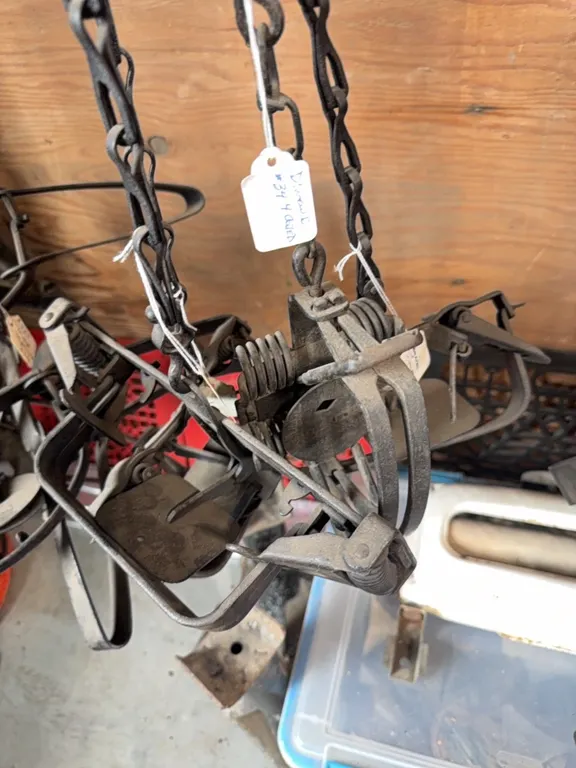 #4 kangaroo triumph T.Co., #3 Easy set triumph, #34 4 coiled, etc. Total of four traps.