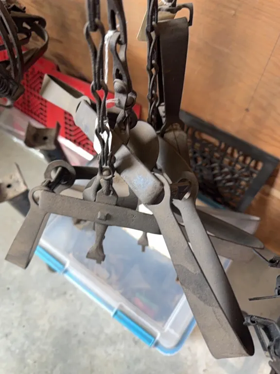 Three traps are number three triumph double springs, one is number 215 single spring, high grip triumph. buying total of four large traps.