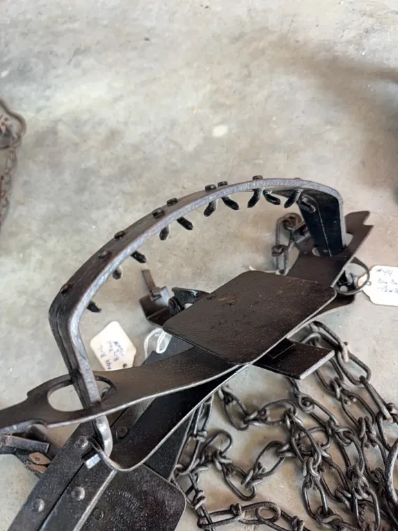 #44  big pan teeth vintage, also 40’s, all hard to find collector traps, total one half dozen