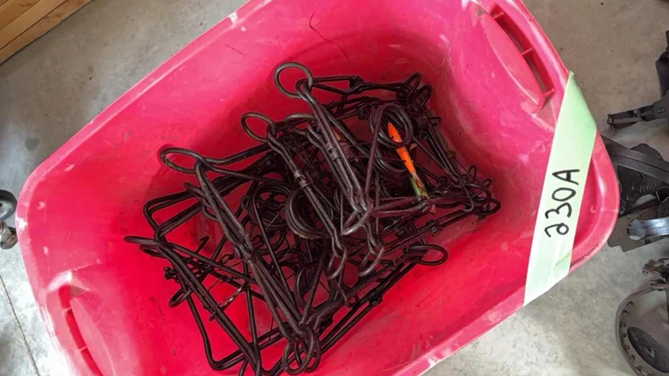 (7) large Conibear traps, all are excellent shape