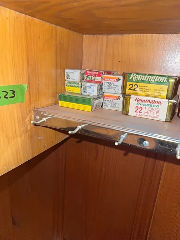 22 ammo and glass bottles