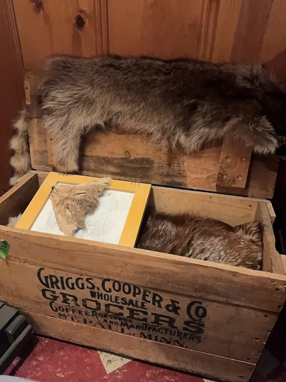 Griggs, Cooper & Co. wholesale grocers wodden crate full of furs