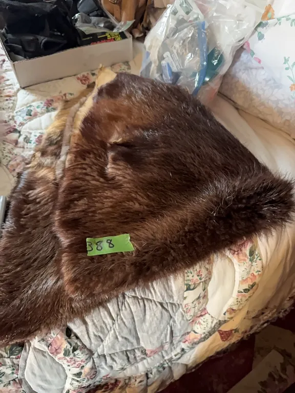 beaver fur on bed