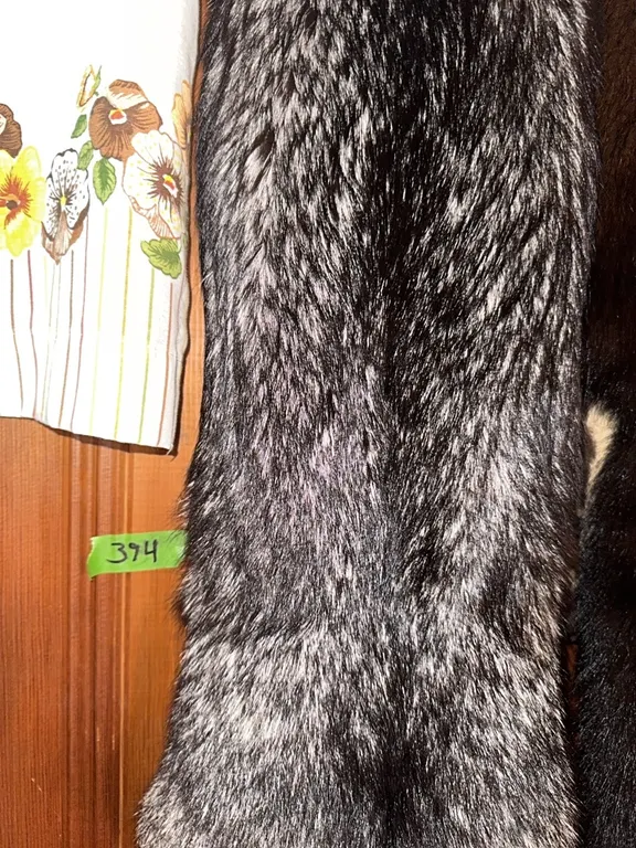 Large Silver fox