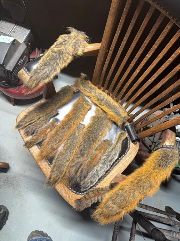 13 tails, all tanned and ready for use