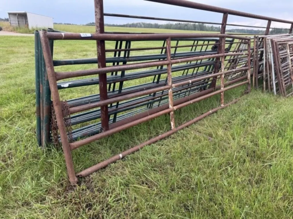 WW 14' Gate (5 - 2" Pipe, 4' H)