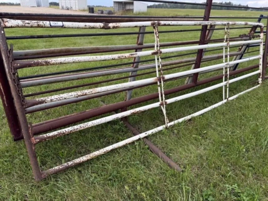 White 14' Gate (5 - 2" Pipe, 4' H)