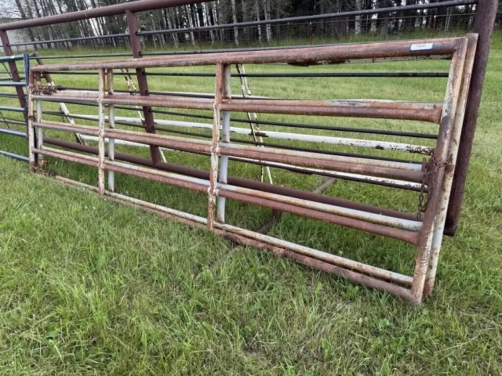 WW 14' Gates (5 - 2" Pipe, 4' H) /EACH GATE