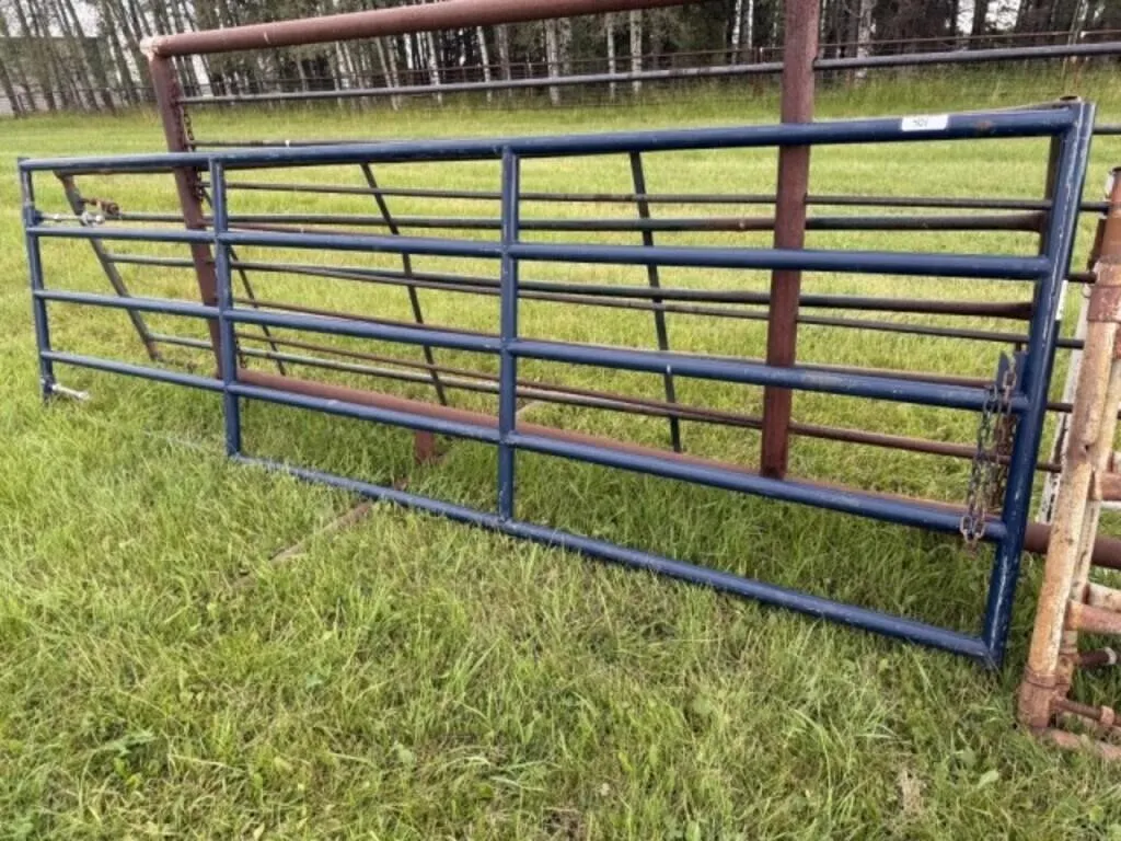 2W 14' Gate (5 - 2" Pipe, 4' H)