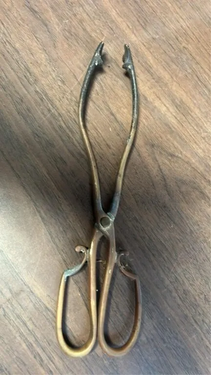 Coal or ember tongs