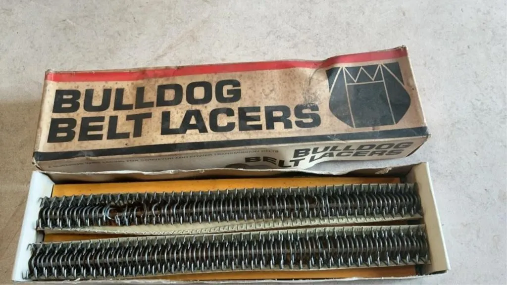 Bulldog belt laces
