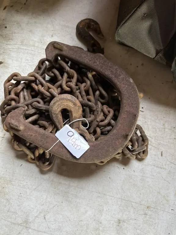 Chain. Horse shoe 20 ft