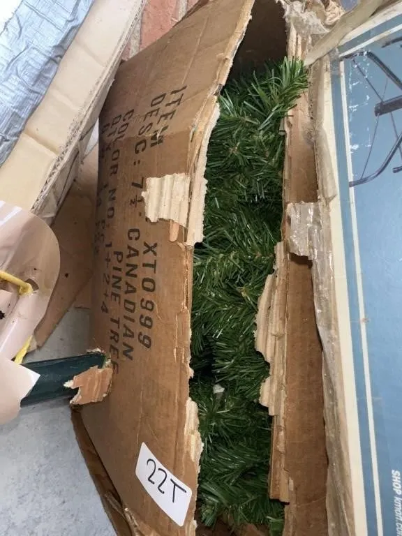 Pine Canadian 7.5 tree. Condition unknown