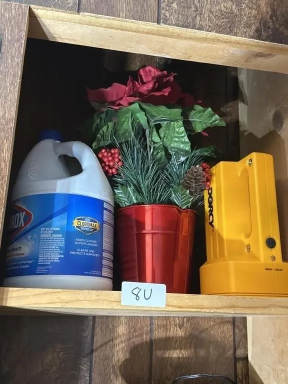 Spicy light. Flower. Clorox