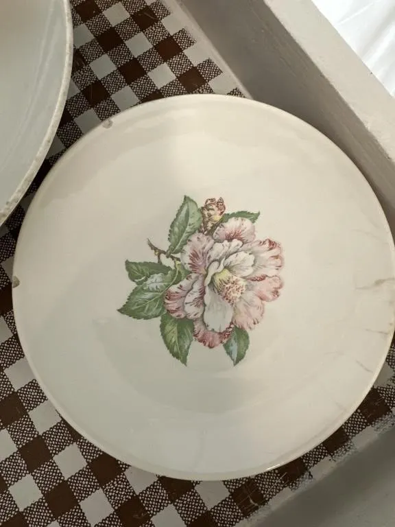 10 in- 6 plates. 6 in-5 dessert plates. Cream w