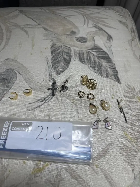 Earrings