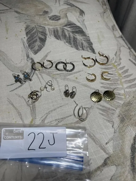 Earrings
