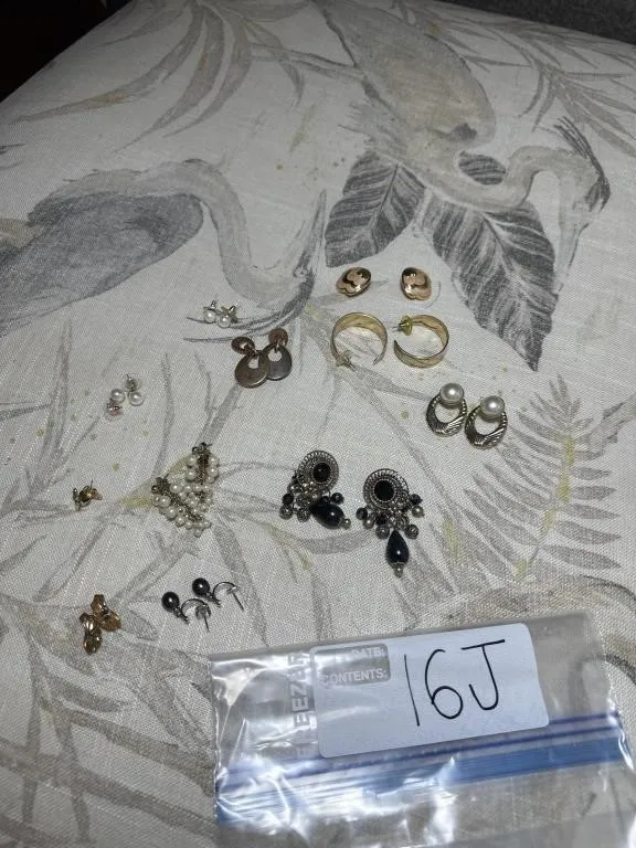 Earrings