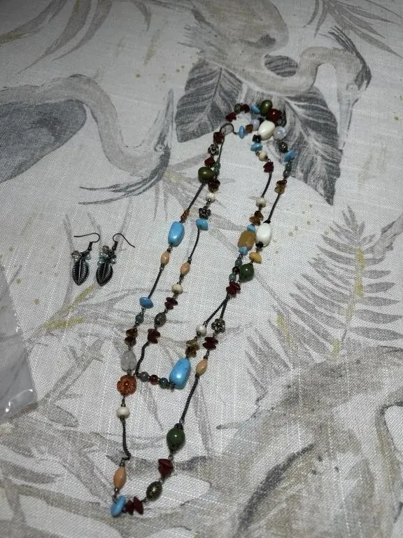 Multicolored necklace and earrings