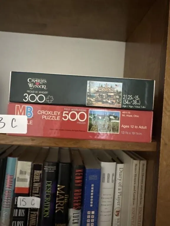 Puzzles x 2