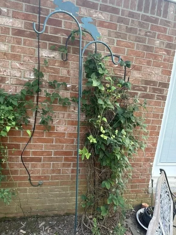 Shepard hooks