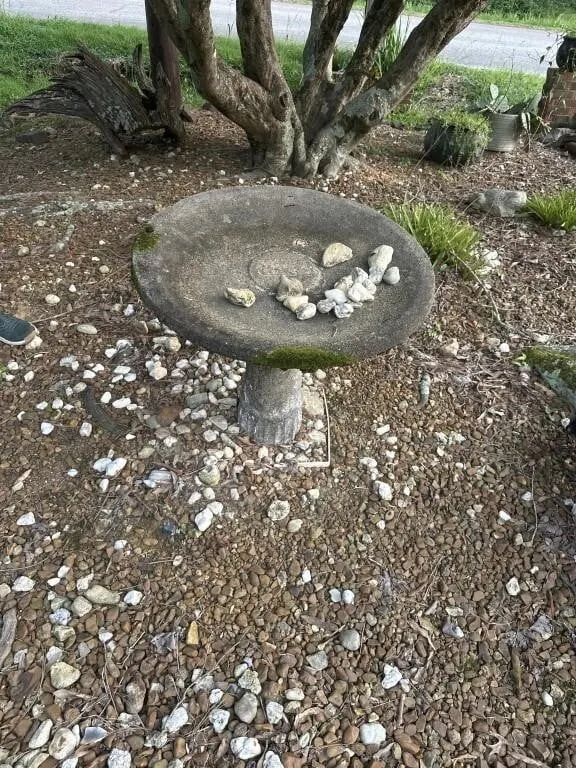 Birdbath 27x22 t