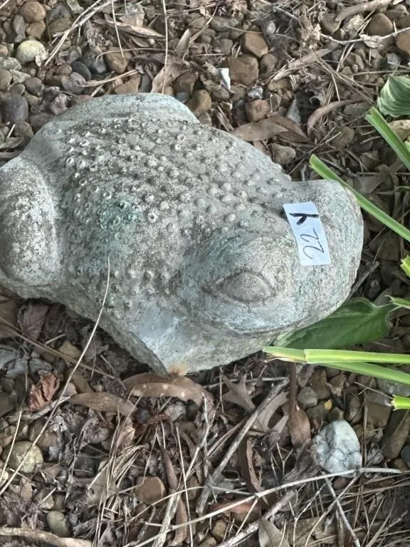 Frog 5x10. I think he lost back legs. And 8 x