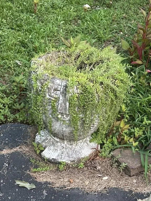 Concrete planter 17 in t x 2