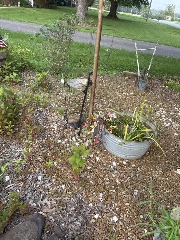 Plant stand 3 ft approx, metal butterflies wall