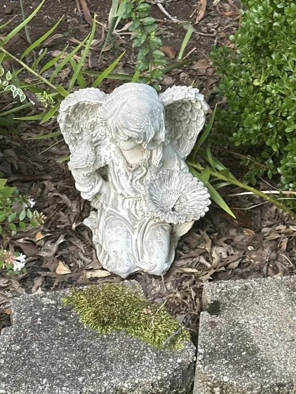 Angel sitting