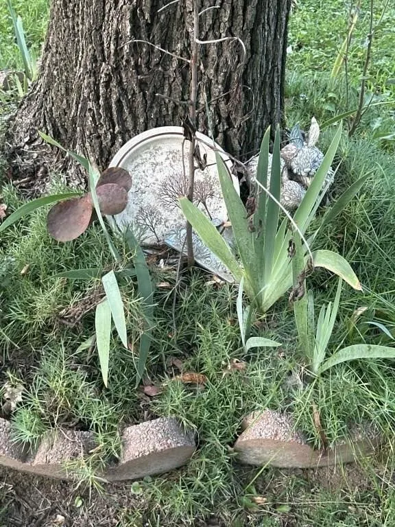 Bunnies. Plate metal flower
