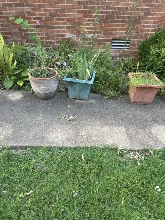 Planters 12 in x 3 (round is stone)