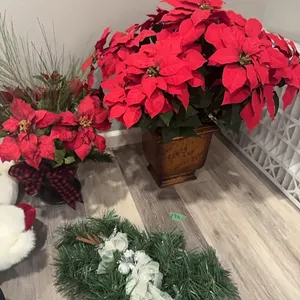 Christmas poinsettias and pine wall hanging