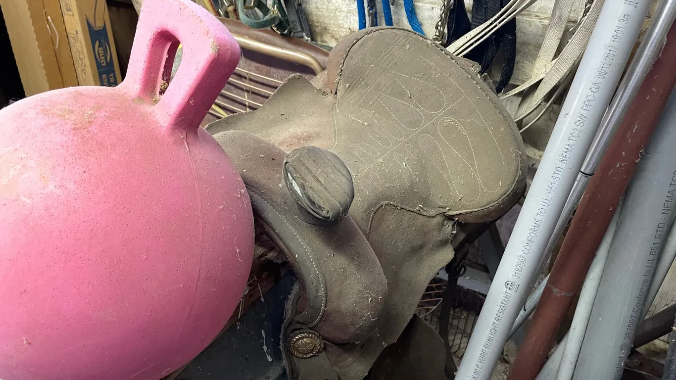 Horse Tack