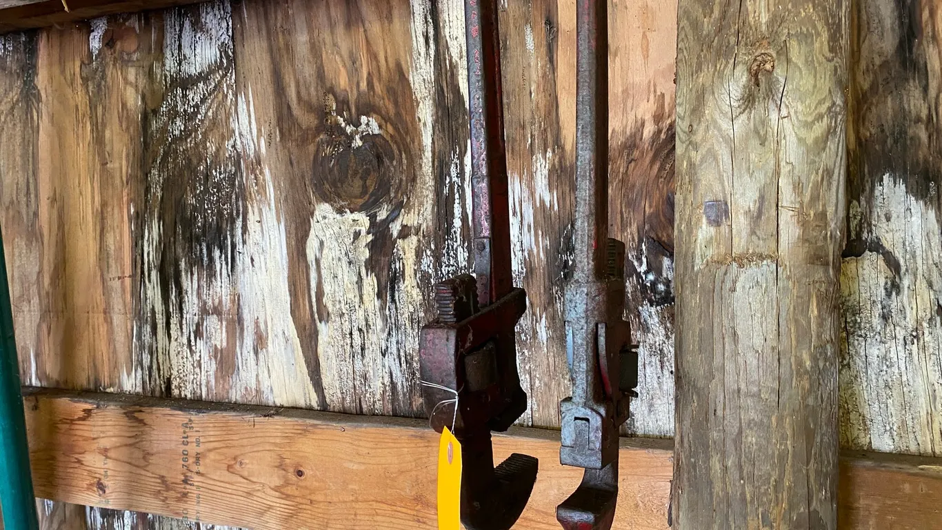 (2) Large Pipe Wrenches